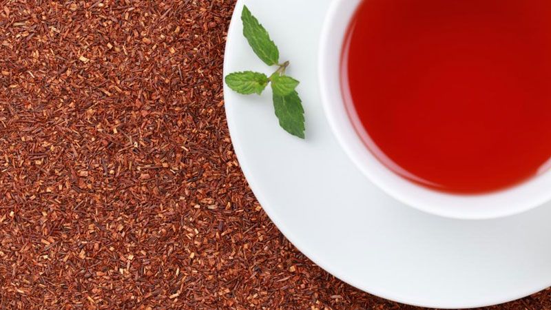 Bật mí các loại trà giải cảm phù hợp cho mùa mưa mà bạn nên thử 