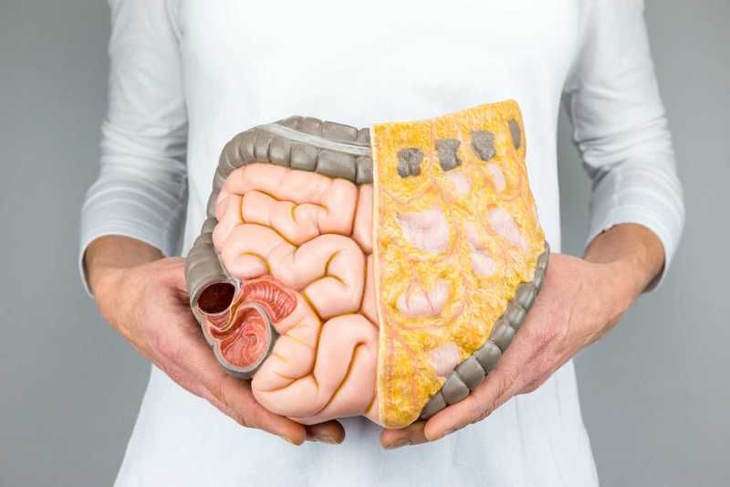 Lá hẹ có công dụng gì? Khám phá những lợi ích sức khỏe từ lá hẹ có thể bạn chưa biết