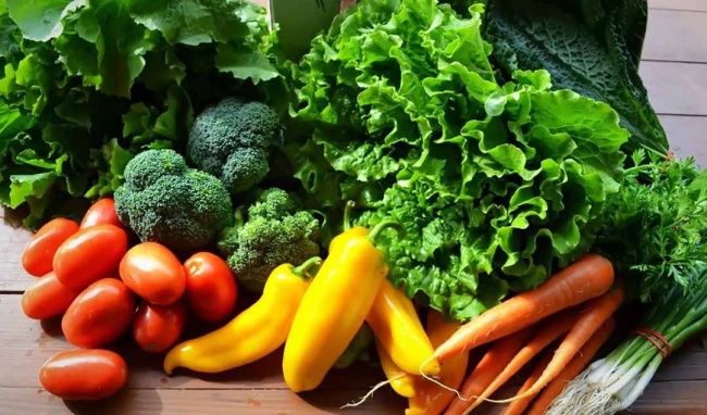 Chế độ ăn kiêng theo nhóm máu: Bí quyết dinh dưỡng tối ưu cho sức khỏe