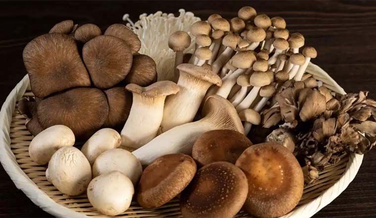 Lợi ích sức khỏe bất ngờ từ việc ăn nấm thường xuyên