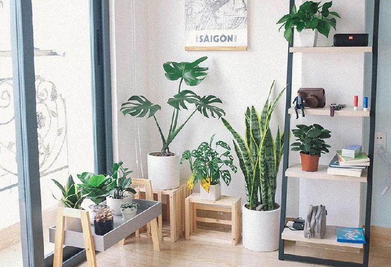 4 ý tưởng thiết kế nhà cửa sáng tạo để tạo không gian sống hoàn hảo