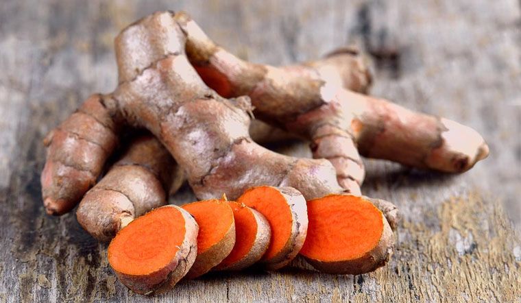 Nghệ tươi là một loại củ quen thuộc trong đời sống người Việt, không chỉ là gia vị quý trong ẩm thực mà còn là một “vị thuốc dân gian” đa năng