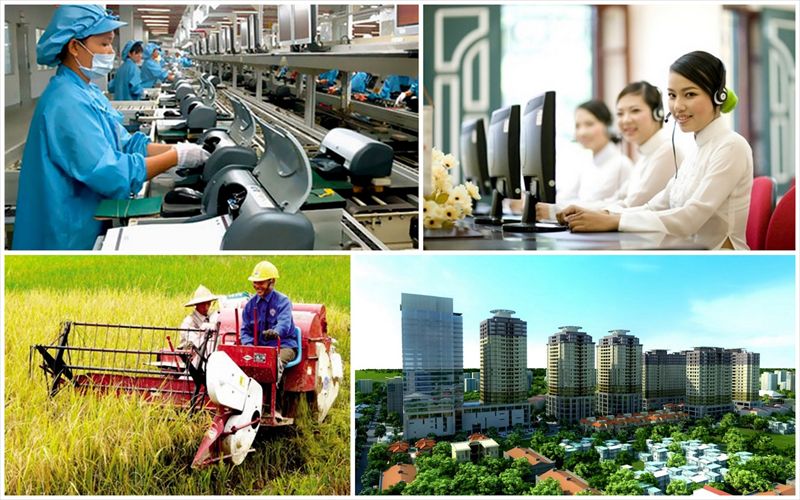 Các vấn đề xã hội và chính sách