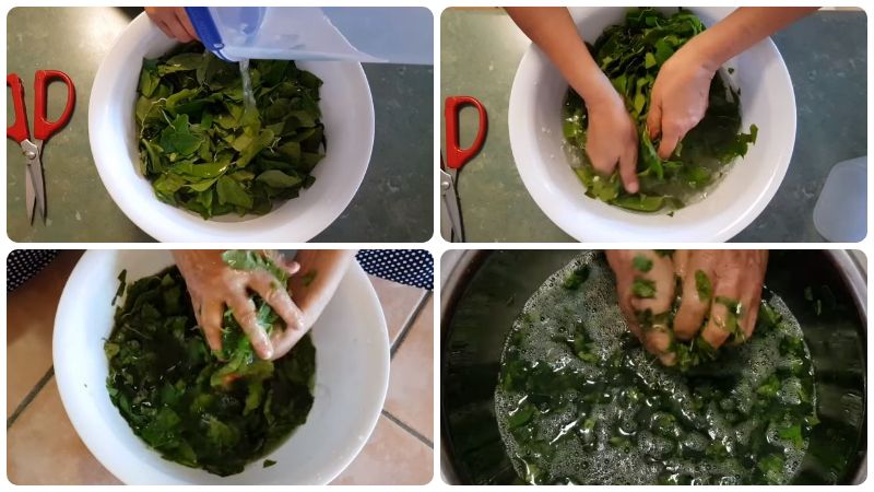 Giữa cái oi ả, ngột ngạt của những ngày hè nắng nóng, không gì tuyệt vời hơn khi được thưởng thức một ly sương sâm mát lạnh, thanh nhẹ và thơm dịu. 