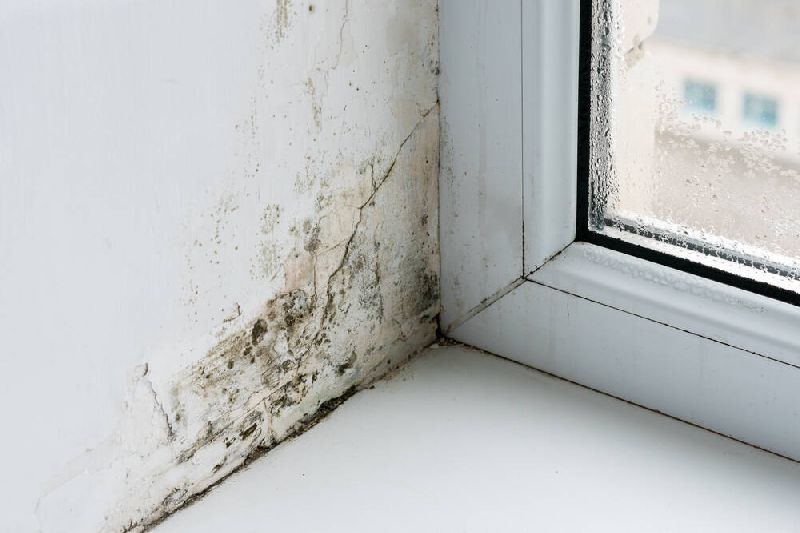 Các cách chống ẩm mốc trong nhà hiệu quả vào mùa mưa