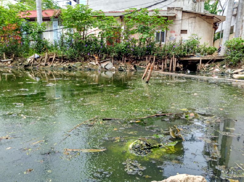 Bệnh sốt xuất huyết: Nguyên nhân và triệu chứng cần biết