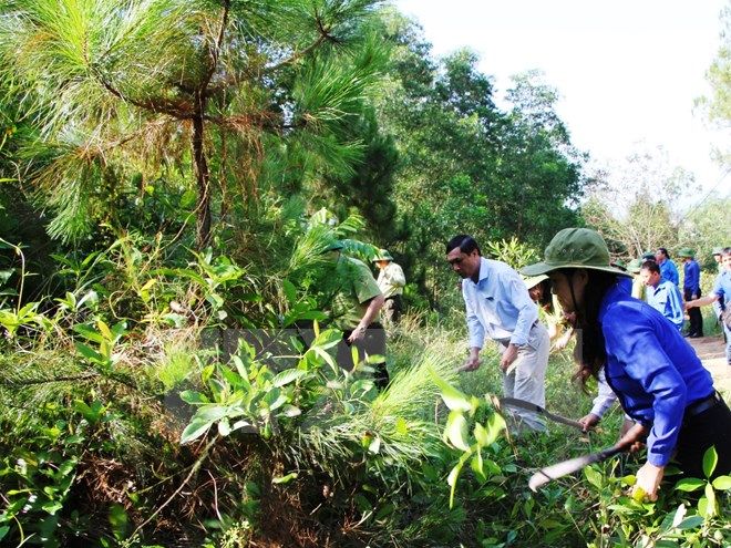 Các biện pháp phòng tránh bệnh sốt xuất huyết hiệu quả 
