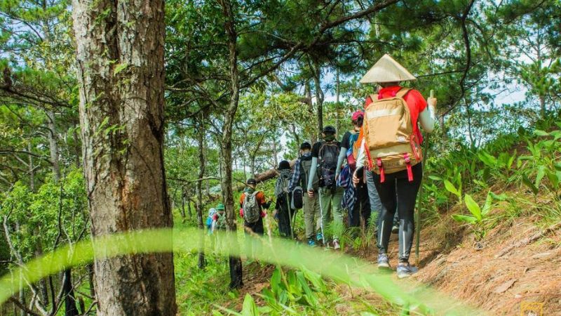 Đặc điểm của đi trekking