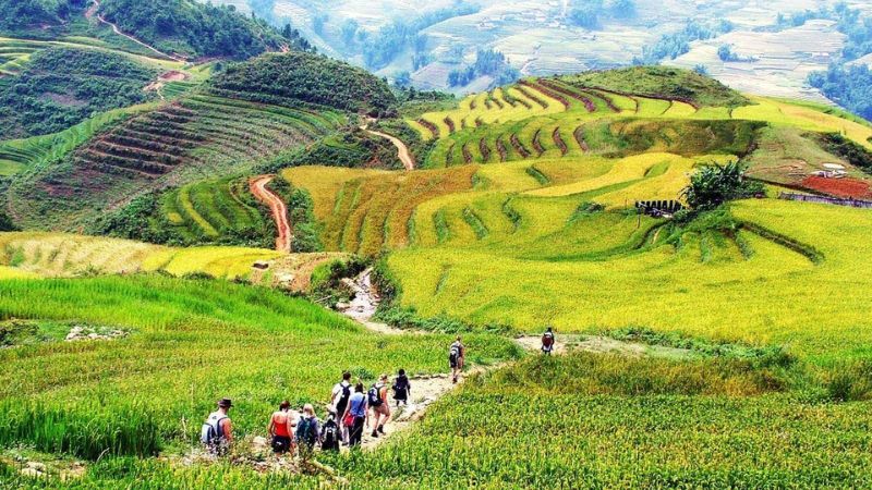 Gợi ý một số ngọn núi trekking cho người mới bắt đầu ở Việt Nam