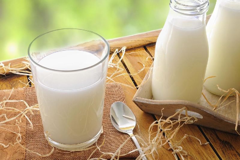 Sữa bò khó tiêu hóa