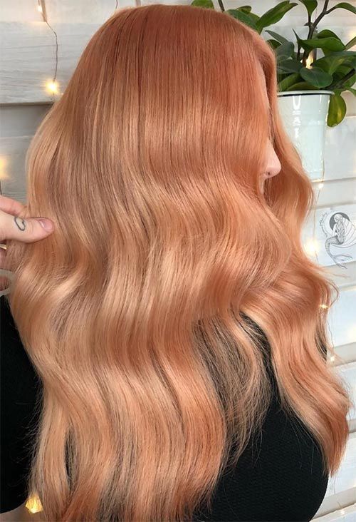  Hồng đào ánh cam (Peachy Coral)
